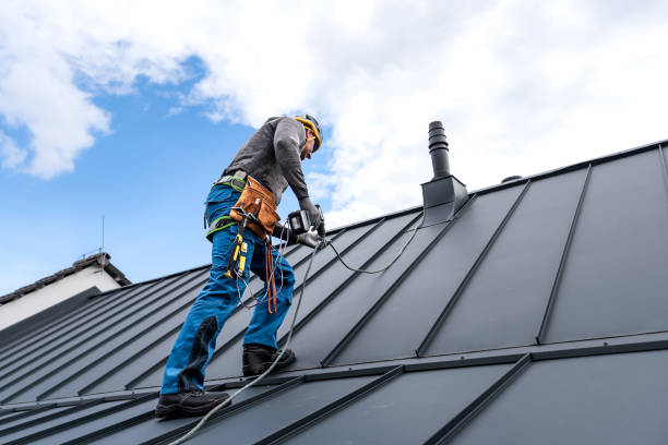 Best Sheet Metal Roofing  in Middletown, DE